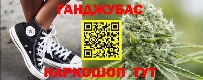 шишки Ставрополь