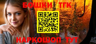 шишки Ставрополь