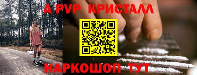 шишки Ставрополь