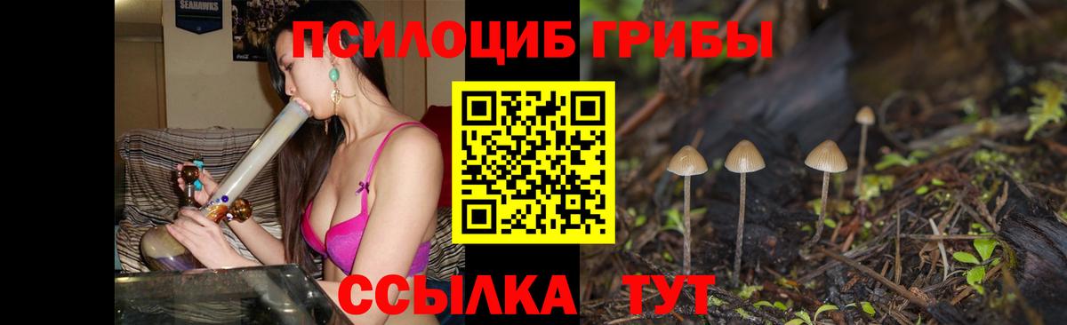 Нижнеудинск  Галлюциногенные грибы Psilocybe  Вход с VPN 